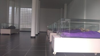 20 momias están expuestas en