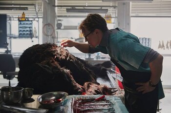 El film es protagonizado por