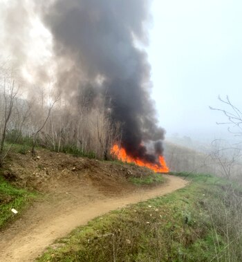 El camino por el que
