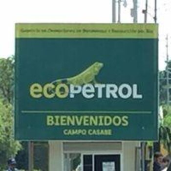Imágen de referencia de Campo