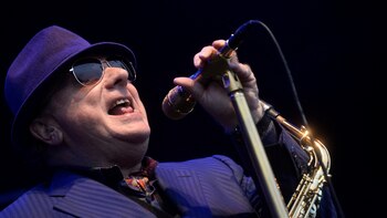 Van Morrison, “el león de