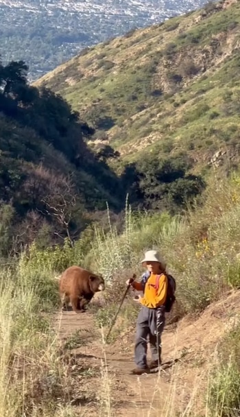 l. El incidente fue relatado por Erin Chiu a NBCLA, quien capturó las imágenes tras presenciar la escena mientras recorría la zona. Foto: New York Post