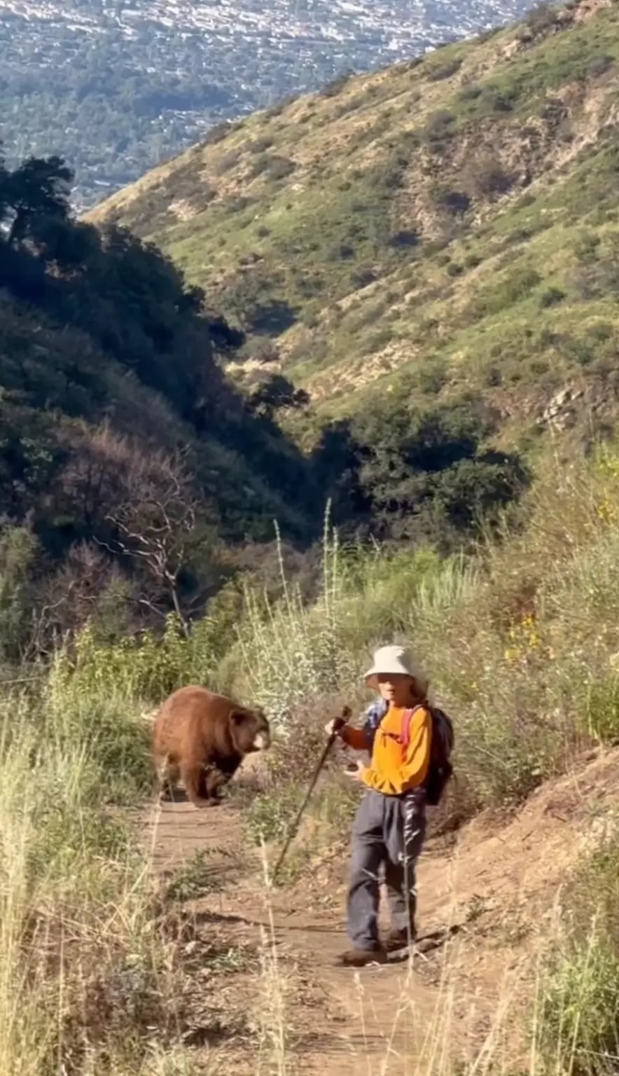 l. El incidente fue relatado por Erin Chiu a NBCLA, quien capturó las imágenes tras presenciar la escena mientras recorría la zona. Foto: New York Post