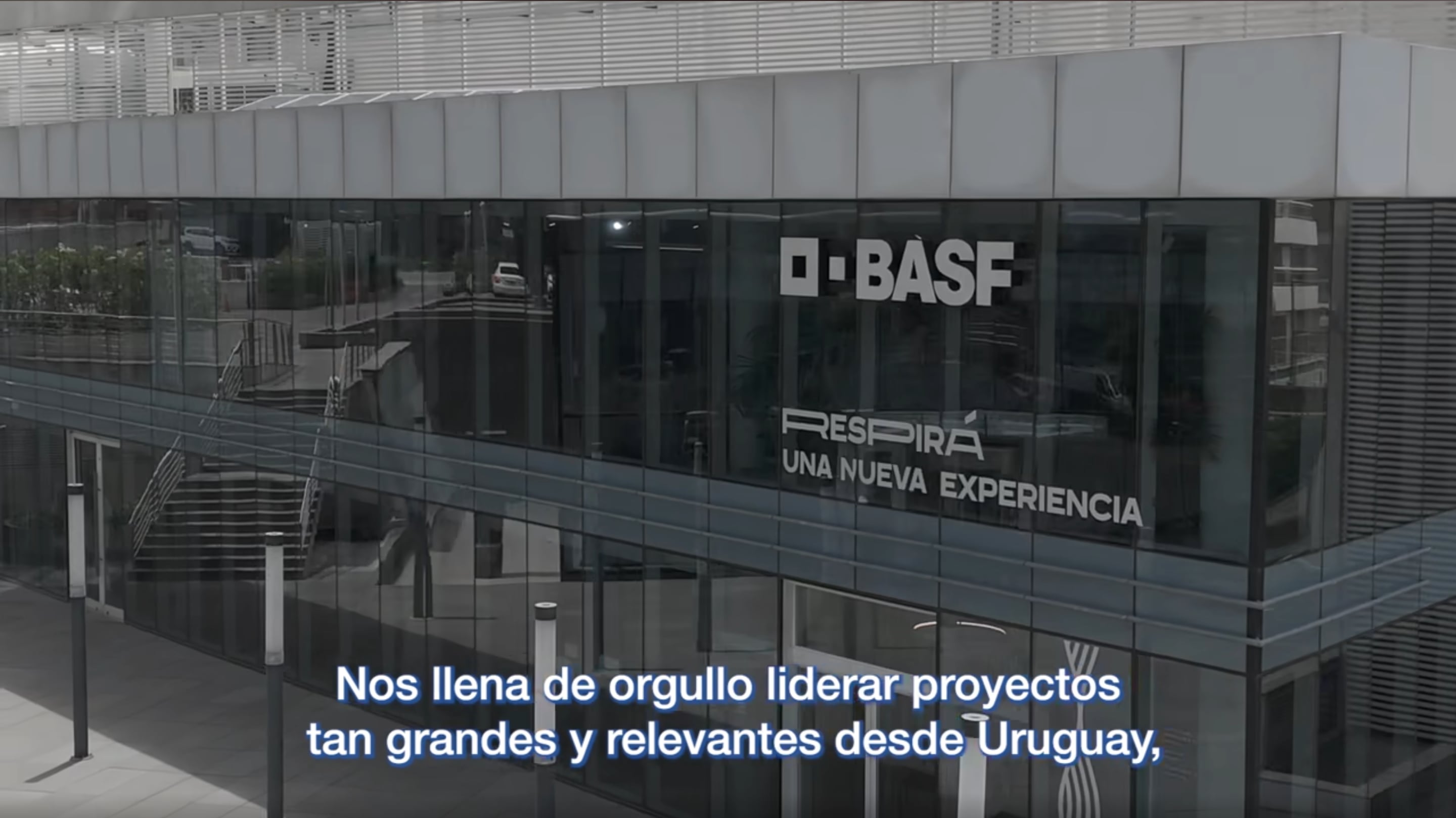 La multinacional Basf realiza una reestructura en Uruguay y anuncia despidos masivos (Basf)