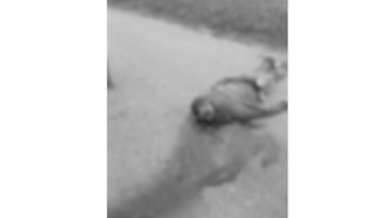 Las víctimas aparecieron en diferentes