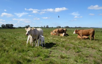 Antes de 1853, en Argentina
