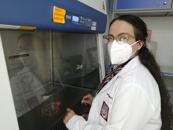 El director general del IPN,