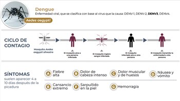 Dengue en México
CRÉDITOS: Secretaría de