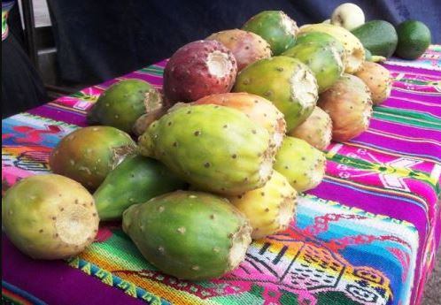 Huancavelica: crean innovador snack a base de tuna para reducir la desnutrición.