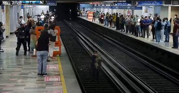 El 'lomito' fue rescato con