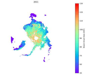 En el modelo se muestran