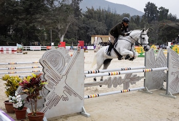 Un jinete vestido con uniforme militar oscuro y casco negro salta con un caballo blanco sobre un obstáculo decorado con patrones geométricos. Fondo de árboles