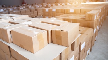 El auge del ecommerce obliga a redefinir los controles aduaneros en todo el mundo