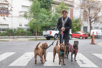 Tomasino con sus perros Shar