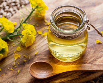 Un aliado poderoso en la