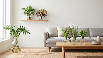 Las 6 plantas de interior que crecen en agua y decoran con elegancia cualquier ambiente