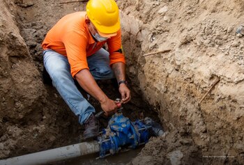 Foto de referencia de las