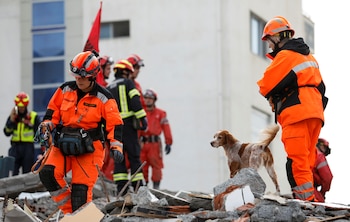 Expertos y veterinarios reconocen que