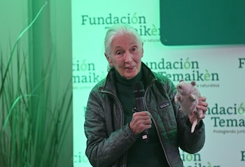 Jane Goodall, la primatóloga y