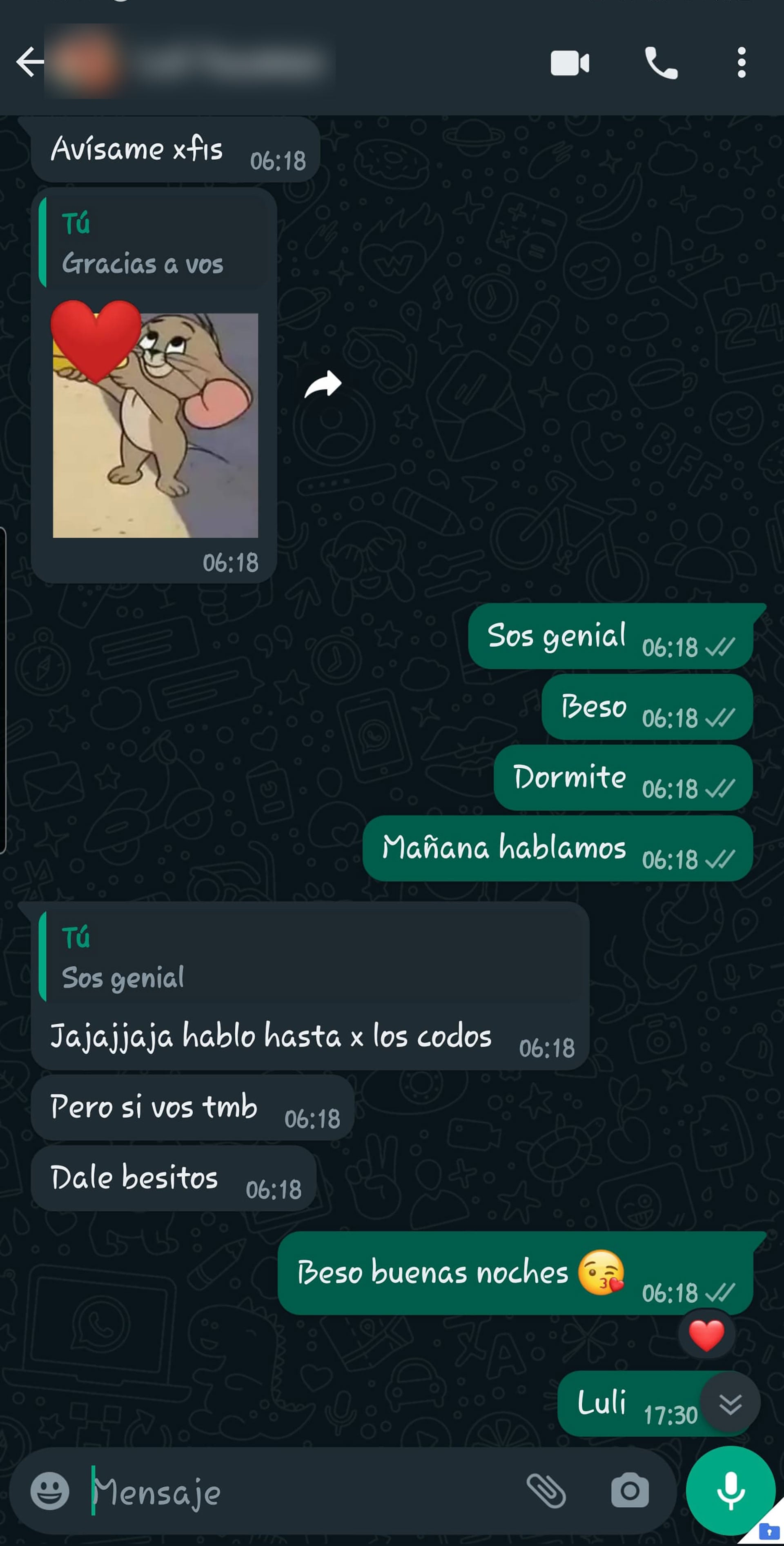 Uno de los chats que consta en la causa