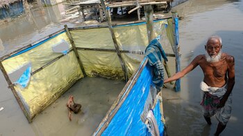 Un anciano en medio de