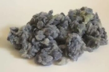 coleccionista de pelusa