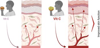 La investigación demuestra que los