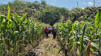 Guatemala mantiene vigilancia en 212 municipios por calor y lluvias intensas
