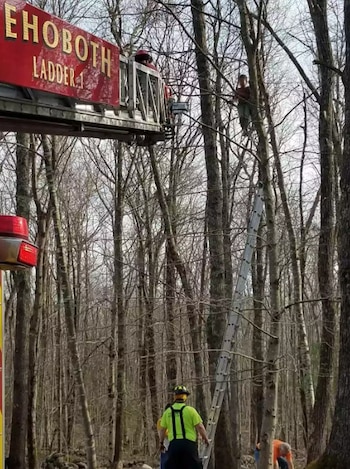 La intervención de los servicios