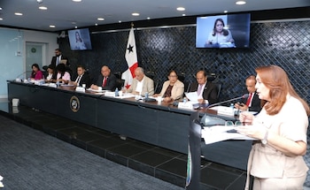La diputada oficialista proponente de la iniciativa, Dana Castañeda, de pie, señala que el objetivo de la medida es proteger especialmente a menores, familias y personas con discapacidad frente a los riesgos de la manipulación tecnológica. (AN)