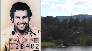 Los mitos y verdades sobre