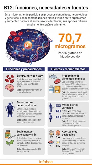 Infografía con ilustraciones y datos en texto sobre las fuentes alimentarias, funciones del organismo y recomendaciones diarias de vitamina B12.