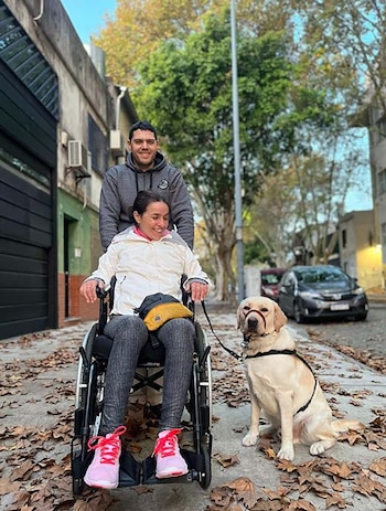 Los perros de asistencia acompañan