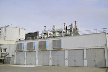 Imagen 7W5XF5FSFFCVZOCOHQLNQHUOGE