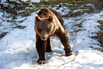 Florencia pisa por primera vez