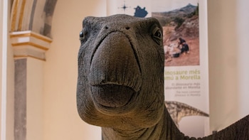 Describen la primera infección bacteriana de origen cutáneo en un dinosaurio que vivió en Morella