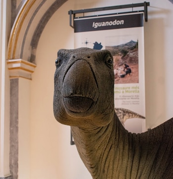 27/08/2026 Castellón.- Describen la primera infección bacteriana de origen cutáneo en un dinosaurio que vivió en Morella.
-
COMUNIDAD VALENCIANA ESPAÑA EUROPA CASTELLÓN SOCIEDAD
AYUNTAMIENTO DE MORELLA