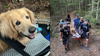 Crosby comenzó a presentar signos