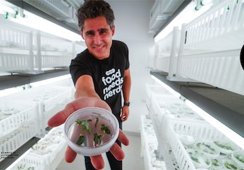 Gastón Paladini, CEO y cofundador