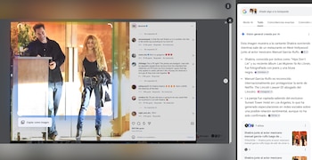 Google Lens busca la imagen en Google y presenta un resumen de la información disponible. (Instagram: deuxmoi / Google Lens)