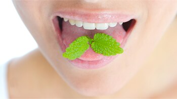 La catequina, un compuesto presente