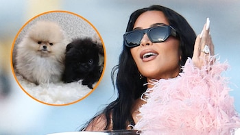 El regalo navideño de Kim