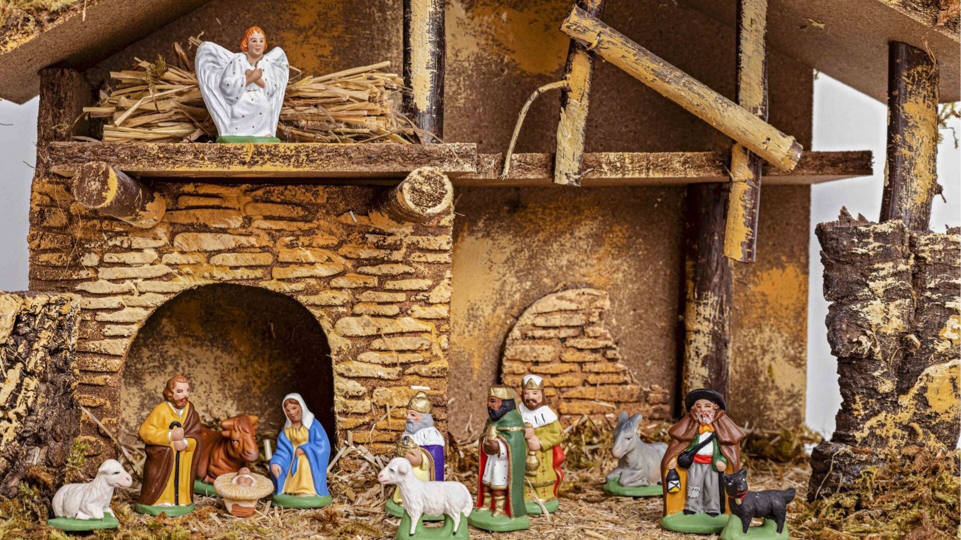 La UNAM advierte que un parche de musgo puede tardar hasta siete años en recuperarse tras ser extraído. (Foto: FB/@Noticias