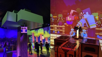 Minecraft Experience