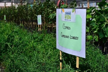 (Foto: Cortesía Presidencia/Archivo)