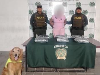 La Policía Nacional incautó más de 130.000 dosis de estupefacientes que iban a ser enviadas como encomiendas en el Valle del Cauca - crédito Policía Valle