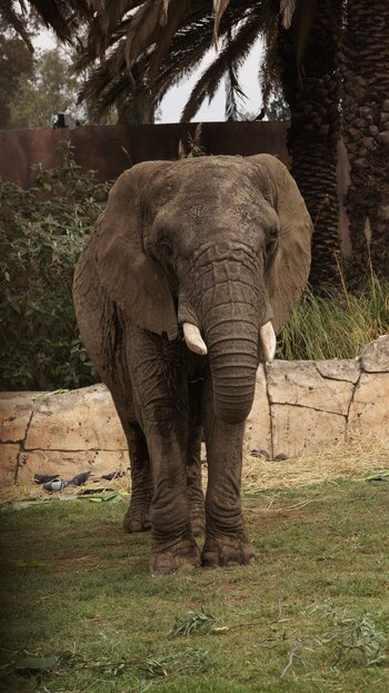 La Sedema aseguró que la