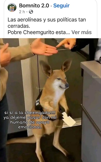 (captura de pantalla)