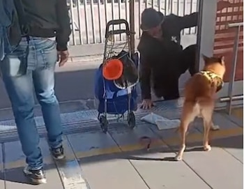 El hombre sería vendedor ambulante - crédito - crédito axel.sneiider/X