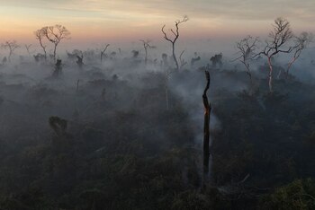 La destrucción por los incendios